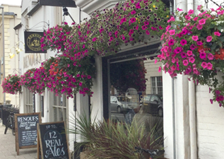hanging baskets wimborne